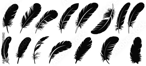 Big set of bird feathers design, fluffy swan, soft bird plumage set, pen icons design, set of bird feathers design for top ranked creative visuals, boho artwork, scrapbook layouts, textile patterns, 