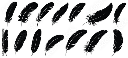 Big set of bird feathers design, fluffy swan, soft bird plumage set, pen icons design, set of bird feathers design for ranked nature illustrations, craft projects, decorative backgrounds