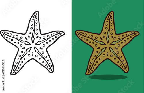 Starfish with dotted pattern underwater marine life coloring page vector illustration