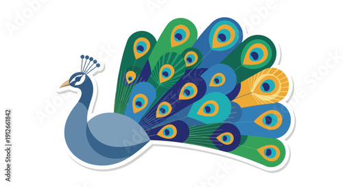Vibrant Peacock Displaying Colorful Feathers - Vector Illustration
