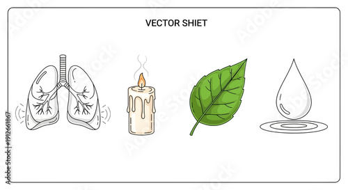 Set of Icons: Lungs, Candle, Leaf, Water Droplet - Health, Life, Nature, Purity