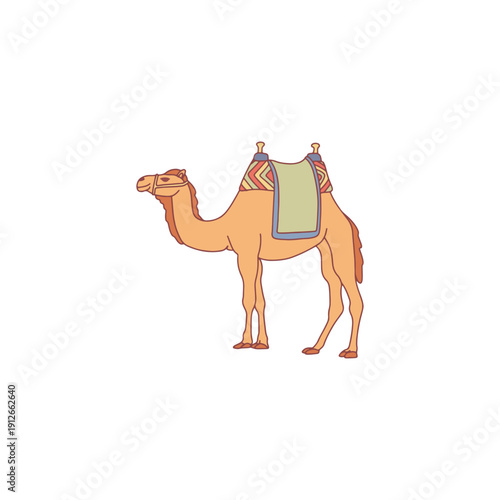 Camel with Saddle Illustration