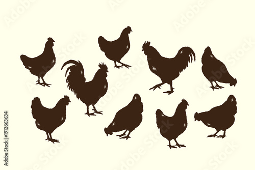 Vintage chicken silhouettes set collection, vector various poses of hens and roosters silhouette textured vintage ink details style, rustic design farm-themed branding, agricultural projects