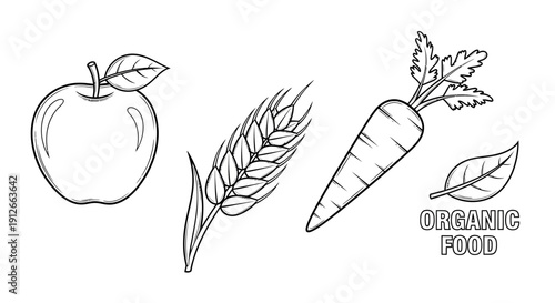 Organic Food Illustration: Apple, Wheat Ear, Carrot, and Leaf with "Organic Food" Text