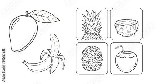 Outline Fruits: Mango, Banana, Pineapple, Coconut - Coloring Pages