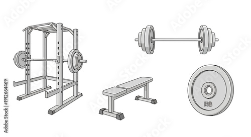 Gym Equipment Set: Power Rack, Barbell, Weight Plates, and Bench for Strength Training