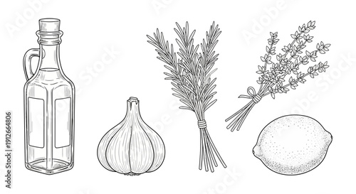 Hand-Drawn Ingredients: Garlic, Rosemary, Thyme, Lemon, and Oil Bottle