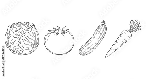 Hand-drawn Line Art Vegetables: Cabbage, Tomato, Cucumber, Carrot