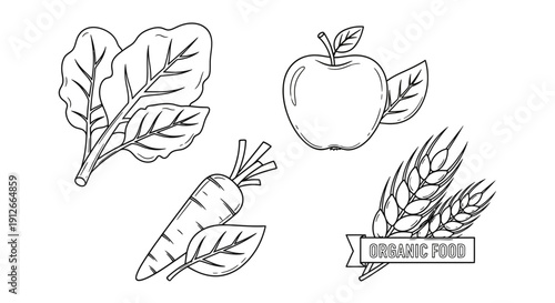 Hand-Drawn Organic Food Icons: Apple, Carrot, Spinach, Wheat, and Label