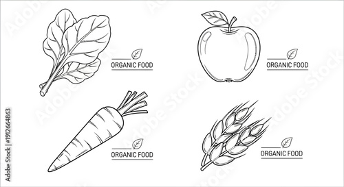Hand-drawn organic food icons: spinach, apple, carrot, wheat. Healthy eating, natural ingredients, farm fresh.