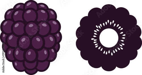 Blackberry illustration with top and bottom views