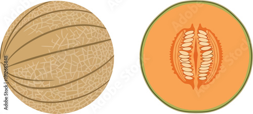 Two coins side by side on a white background