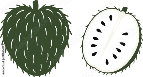A drawing of a guava fruit and its cross section