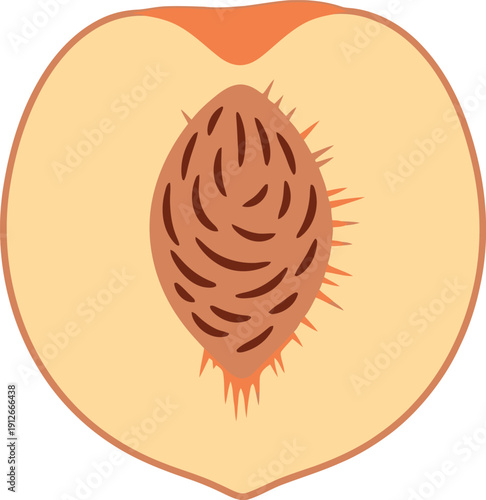 A halved peach with a visible pit and vibrant orange flesh