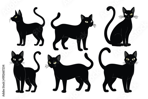 A vector collection of black cat and kitten silhouettes featuring a set of domestic pet animal shapes and mammal icons for nature design