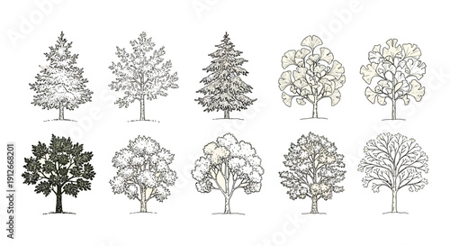 a diverse collection of hand-drawn botanical tree illustrations featuring various species and detailed foliage ideal for educational nature designs.