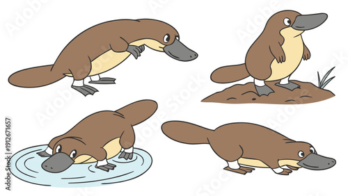 Cartoon platypus illustrations in various poses showcasing unique features a distinct silhouette high quality professional detailed
