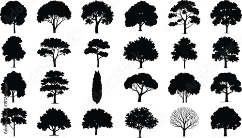 Set of black tree silhouettes icons isolated on white background, various shapes of deciduous and evergreen plants for architectural cad drawing flat vector illustration