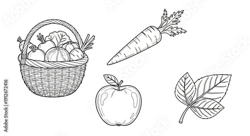 Hand-drawn illustration of fresh vegetables and fruits in a basket, carrot, apple, and leaves