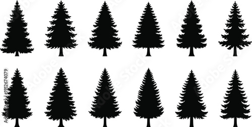 Evergreen conifer tree silhouettes collection featuring pine fir and spruce shapes isolated on white background nature forest vector illustration set design 
