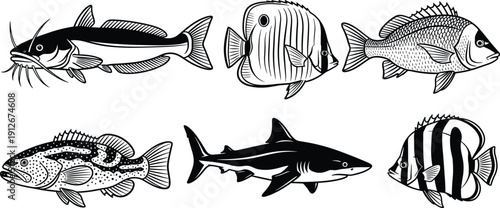 Marine fish illustration set featuring tropical reef species and shark silhouettes isolated on white background underwater wildlife ocean nature vector engraving style collection