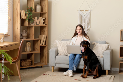Cute Doberman dog and beaut...