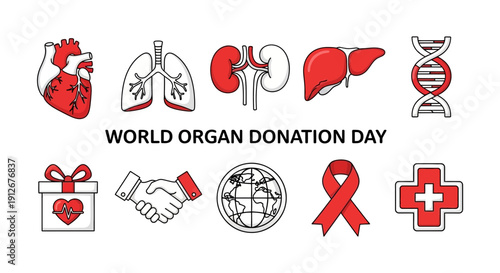 Illustration for World Organ Donation Day featuring organs and symbols