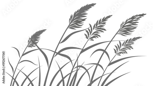 Elegant cattails and grasses sway in the wind depicted as a striking silhouette high quality professional