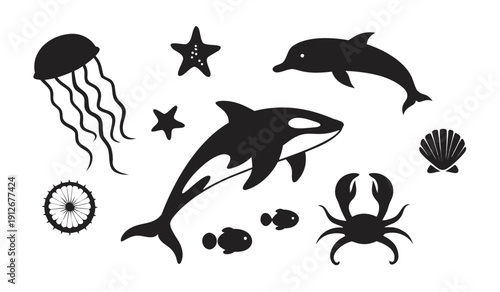 Black silhouettes of marine life including jellyfish dolphins and orcas ocean themed silhouette high quality professional