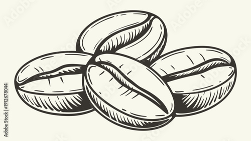 Detailed illustration of coffee beans with a classic outline style silhouette high quality professional detailed modern