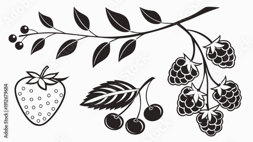 Black and white illustration of berries cherries and strawberry branch a striking silhouette high quality professional