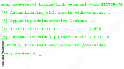 Cyber security hacking attack mockup Green text - No background
