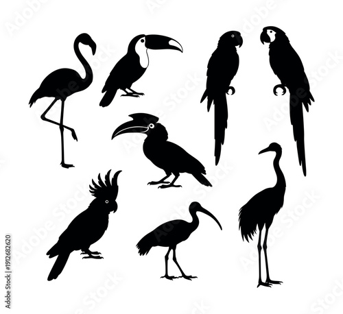 Bird silhouettes collection