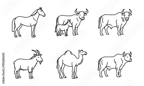Animal line drawings set - Horse, Donkey, Ox, Bull, Goat, Camel