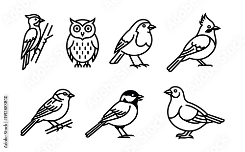 Bird minimalist line drawings set