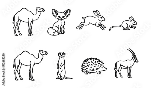 Animal outline drawings set