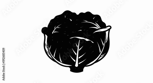 A black and white illustration of a fresh head of cabbage with visible leaf veins and texture