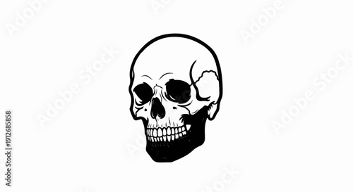A black and white illustration of a human skull with detailed teeth and dark eye sockets