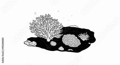 A black and white illustration of various coral formations underwater