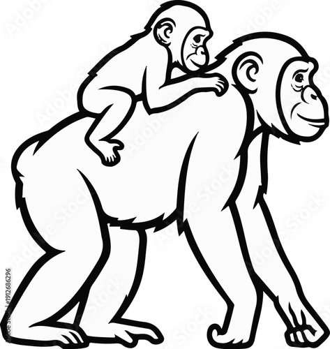 A baby monkey rides on the back of a parent chimpanzee