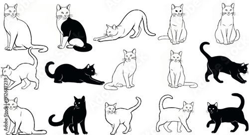 A collage of diverse cat illustrations in various poses and colors