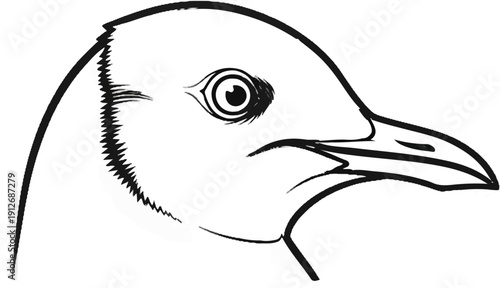 A black and white sketch of a bird's head in profile, focusing on its eye and beak