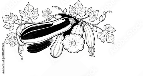 A decorative arrangement of various gourds and leaves in a black and white illustration style