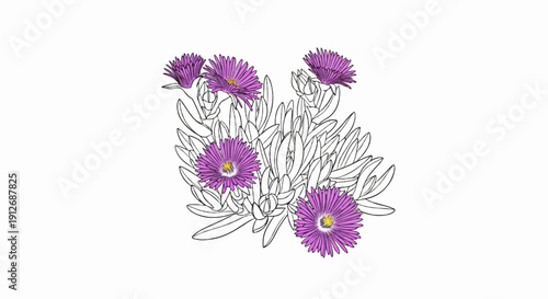 A delicate botanical sketch of purple daisy-like flowers