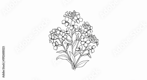 A delicate line drawing of a cluster of flowering plants with numerous blossoms