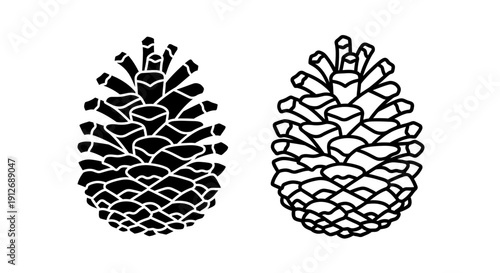 Two pinecones illustration, minimalist pine cone drawing, nature elements design Vector