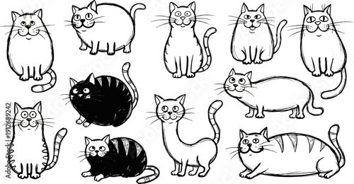 A collection of whimsical, hand-drawn cats in various poses and sizes