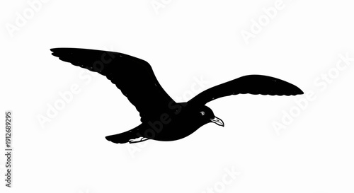 A black silhouette of a seagull in flight, its wings spread wide against a white background