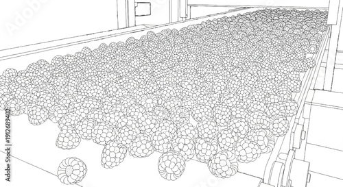 A conveyor belt filled with a large quantity of raspberries for processing