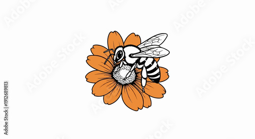 A detailed line drawing of a bee with striped abdomen on an orange daisy